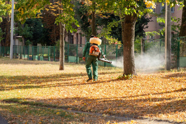 Best Residential Pest Control  in Clementon, NJ